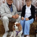 cavalier king charles spaniel puppies for sale​