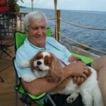 cavalier king charles spaniel puppies for sale​