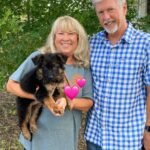 German shepherd puppies for sale