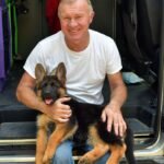 German Shepherd puppies for sale
