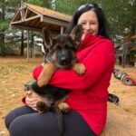German Shepherd Puppies for sale